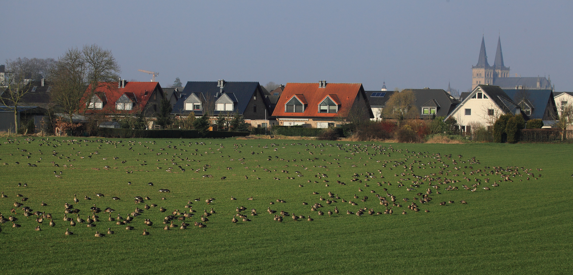 Vertrauen im Schutzgebiet