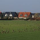 Vertrauen im Schutzgebiet