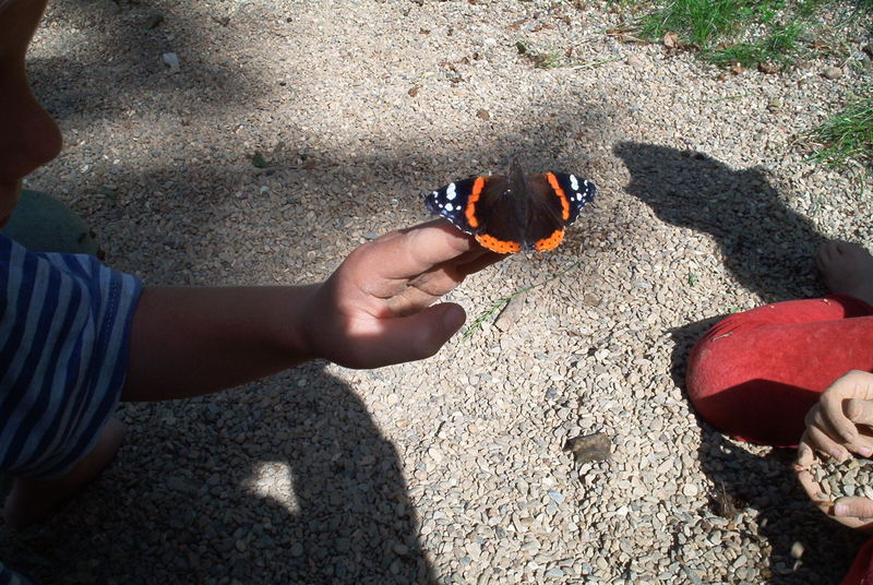 Vertrauen in Kinderhand