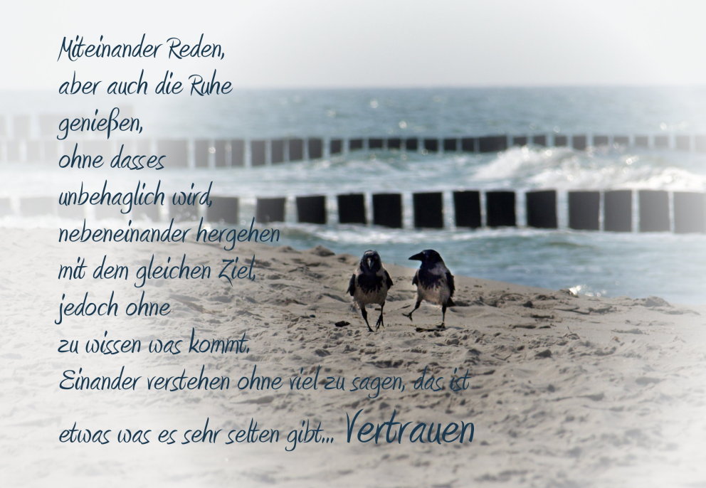 Vertrauen ist...