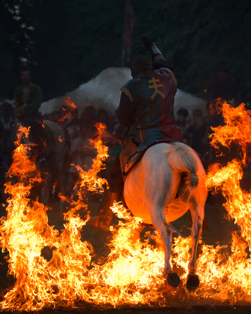 Vertrauen zwischen Pferd und Reiter