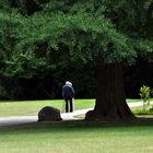 Vertrautheit im Park