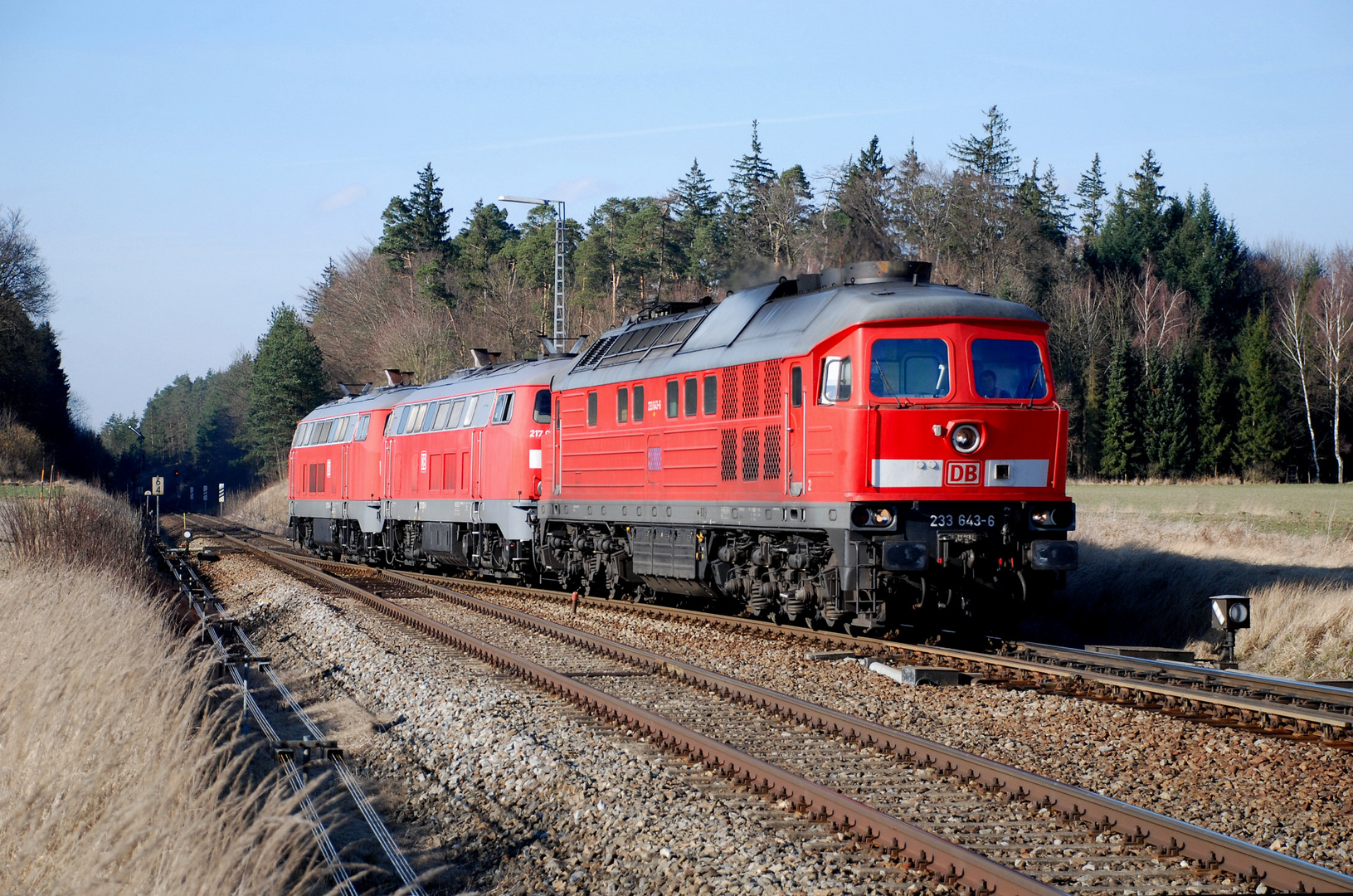 Vertreibung aus dem Paradies