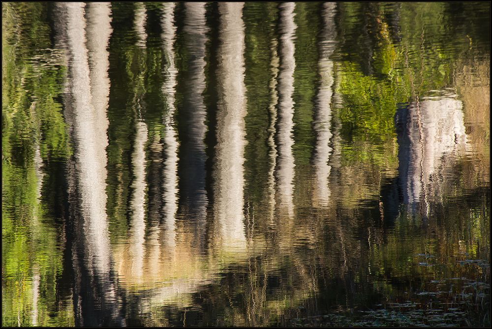 VERTROCKNET IM WASSER.. (2x gespiegelt) 