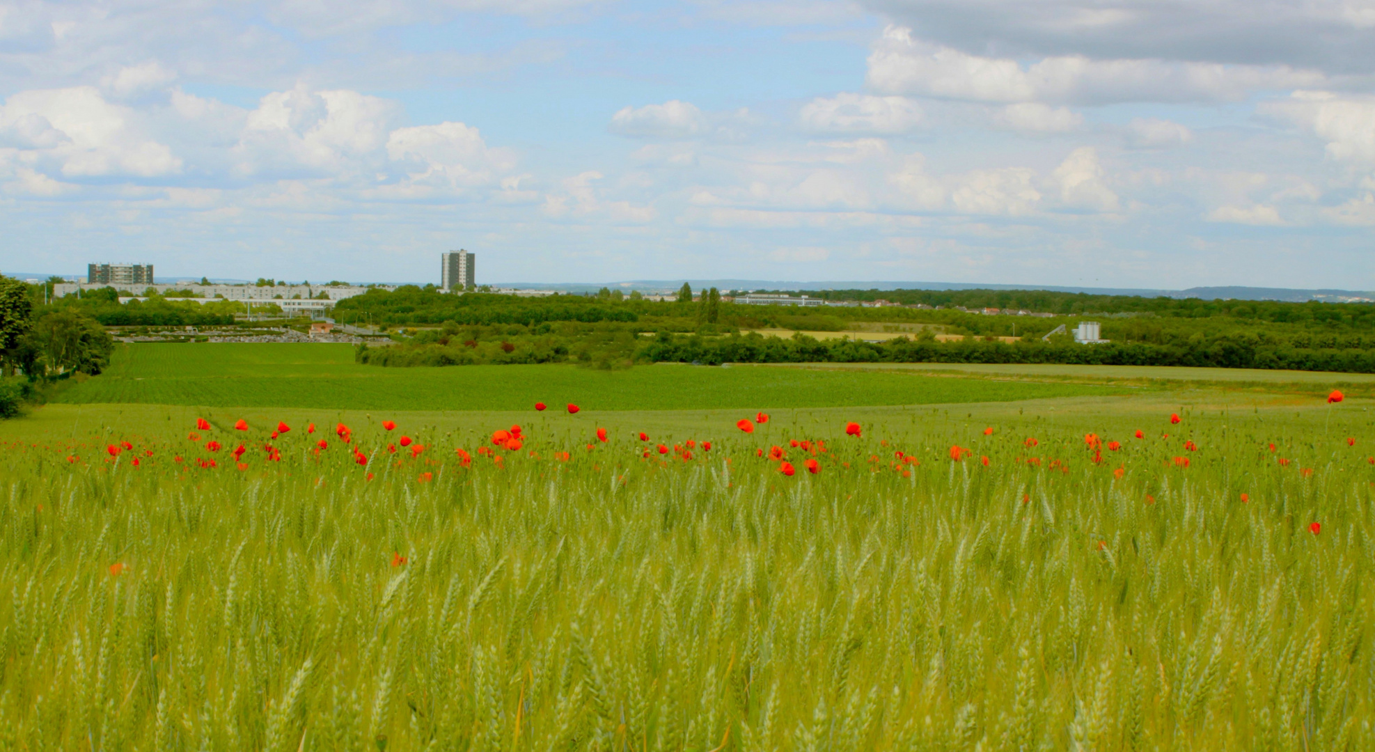 Vert,Rouge,Ville