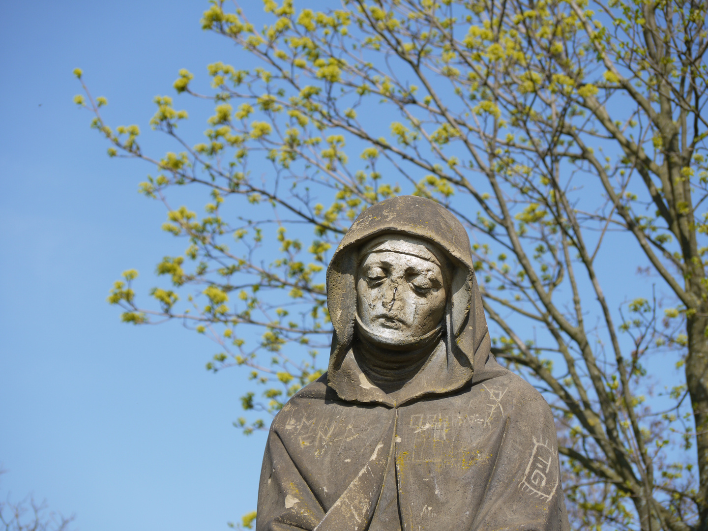 Verunstalltet Statue auf einem Weinberg nähe Neckarsulm