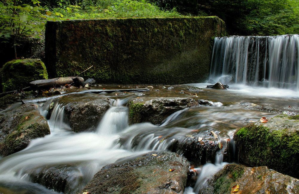 verwachsenes Flüsschen2