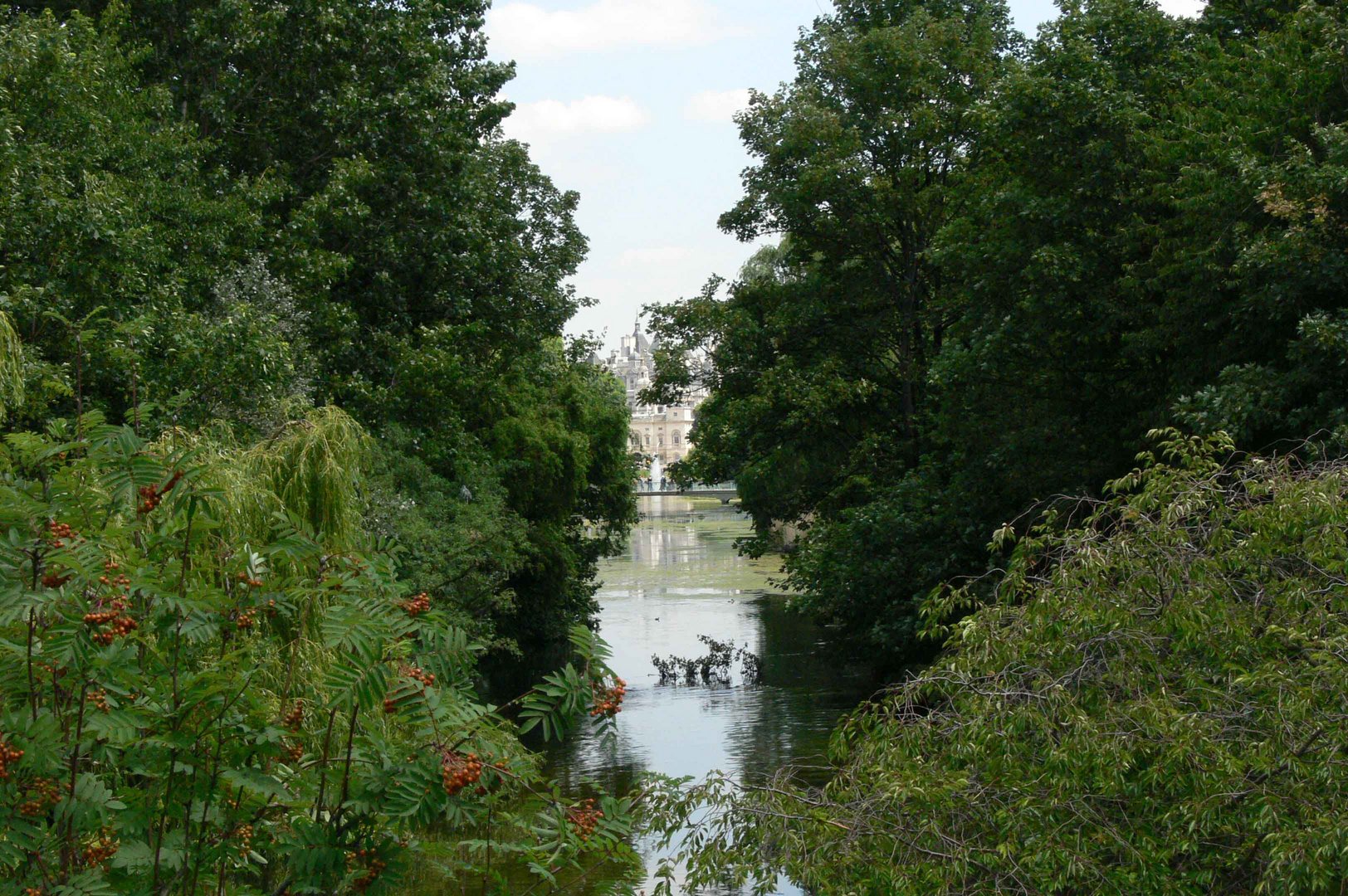 Verwachsenes Schloß