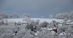 Verwandlung einer Landschaft