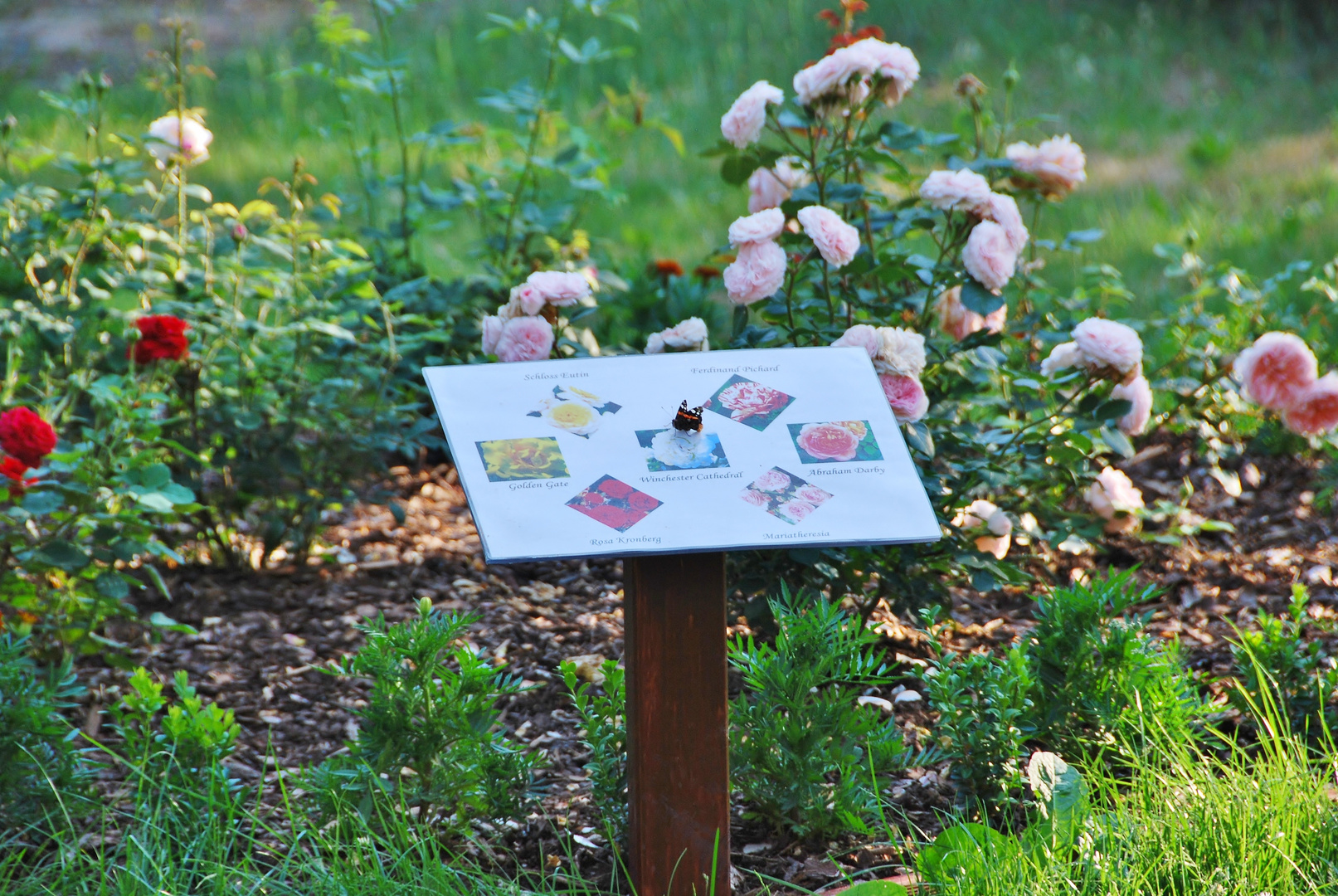 Verwechselung / falscher Landeplatz