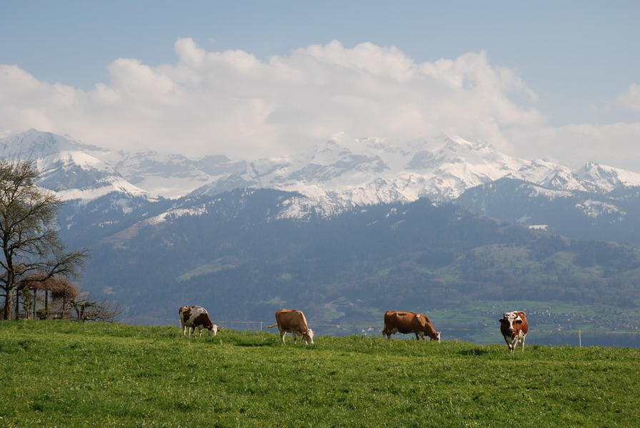 Verweilen im Berner Oberland