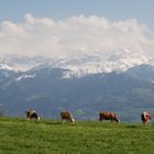 Verweilen im Berner Oberland