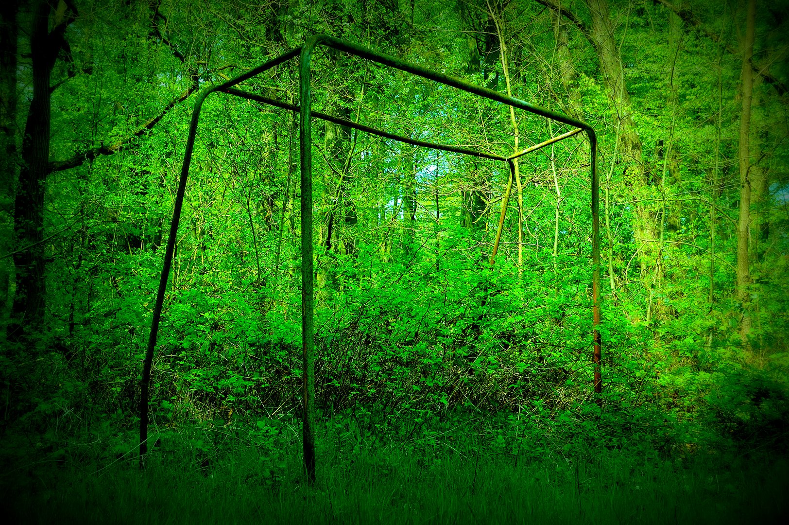 verweistes Fußballtor im Wald