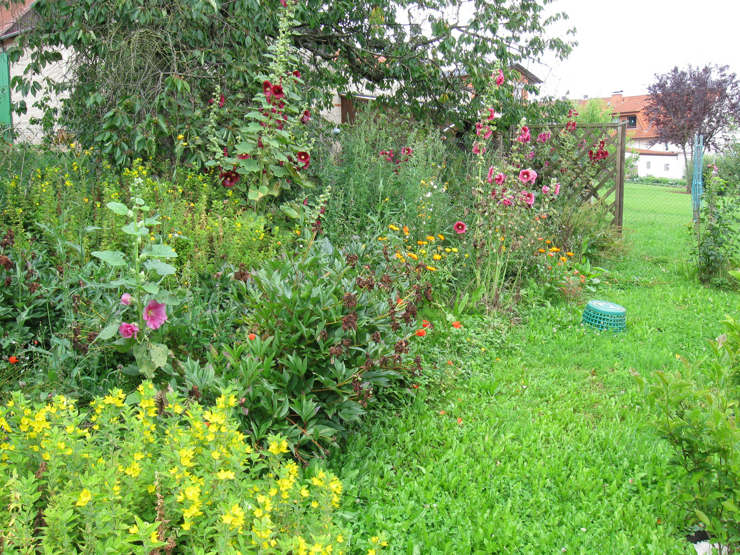 Verwildert....... Foto & Bild landschaft, garten & parklandschaften