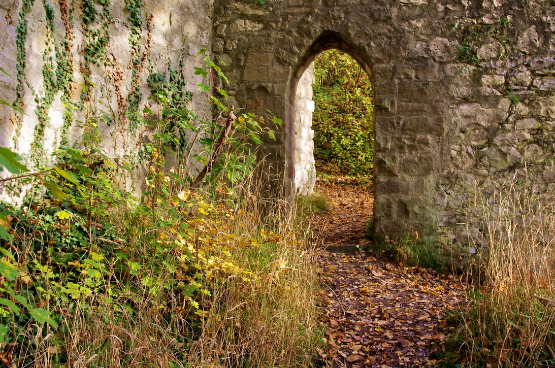 Verwildertes Burggärtlein