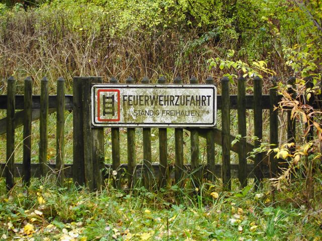 Verwildertes Grundstück im Harz