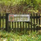 Verwildertes Grundstück im Harz