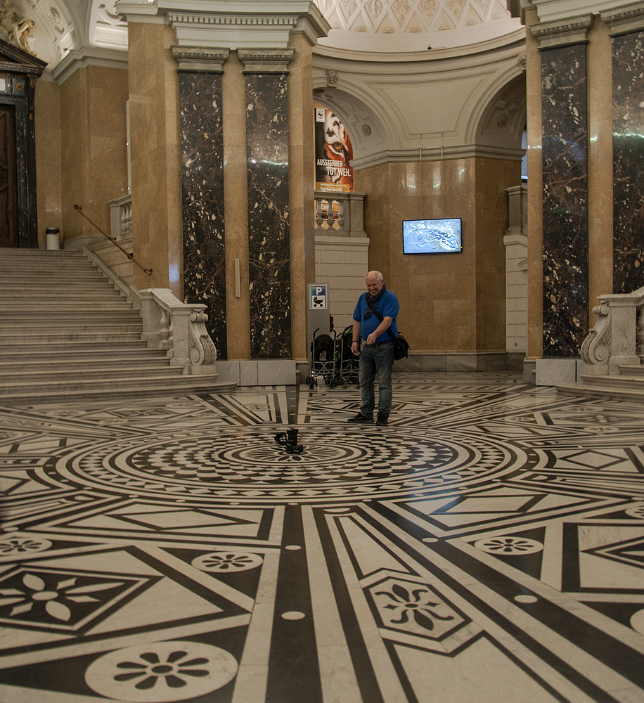 Verwirrende Bodenansicht im Naturhistorischen Musem Wien