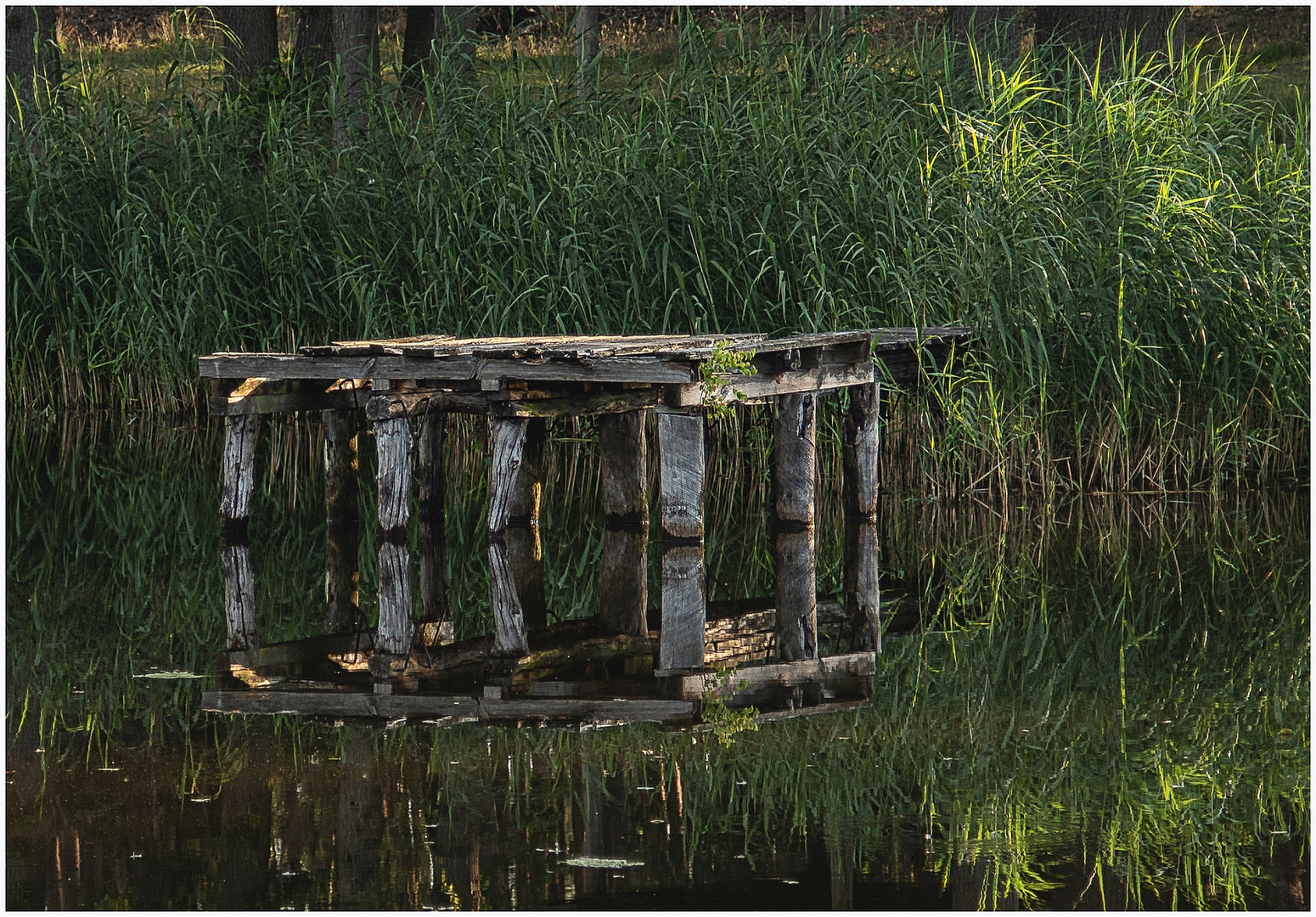 Verwirrung am Wasser