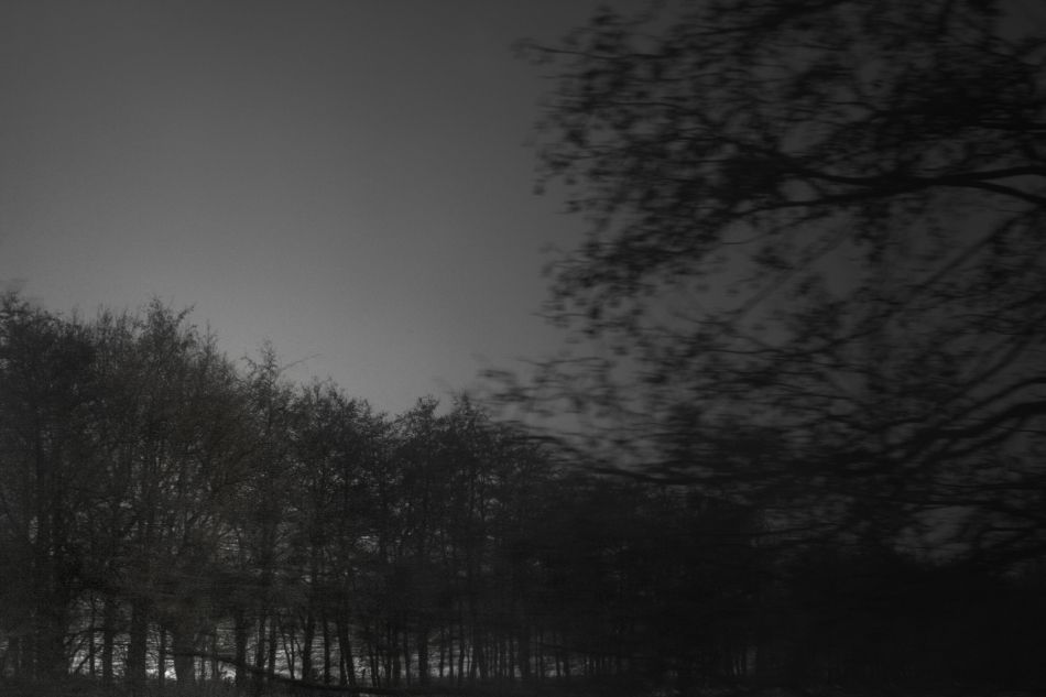 Verwischt Schnee Baum Wind