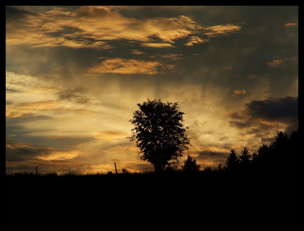 verwischte Farben am Abendhimmel