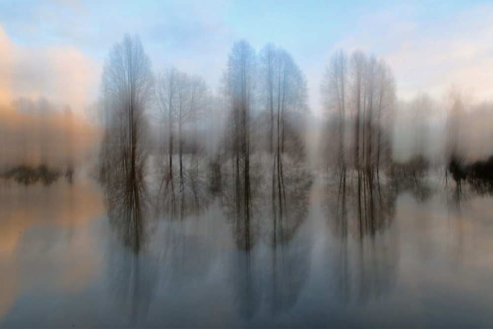 verwischte Welt am Weiher