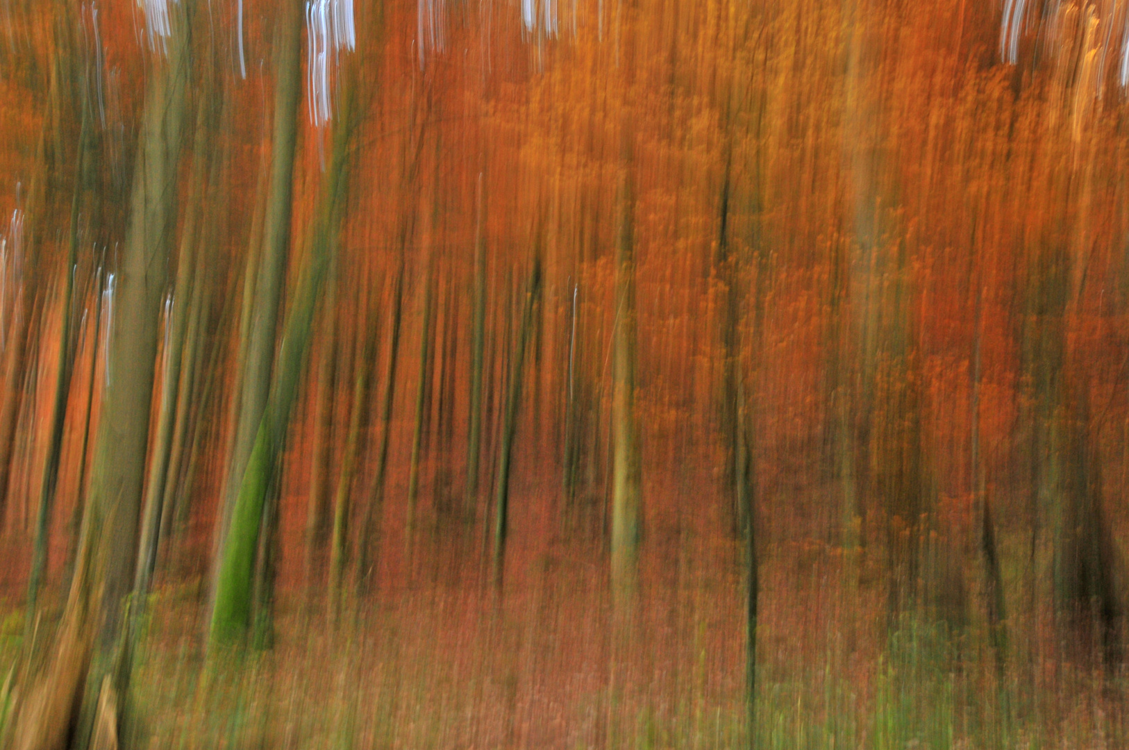 verwischter Herbstwald