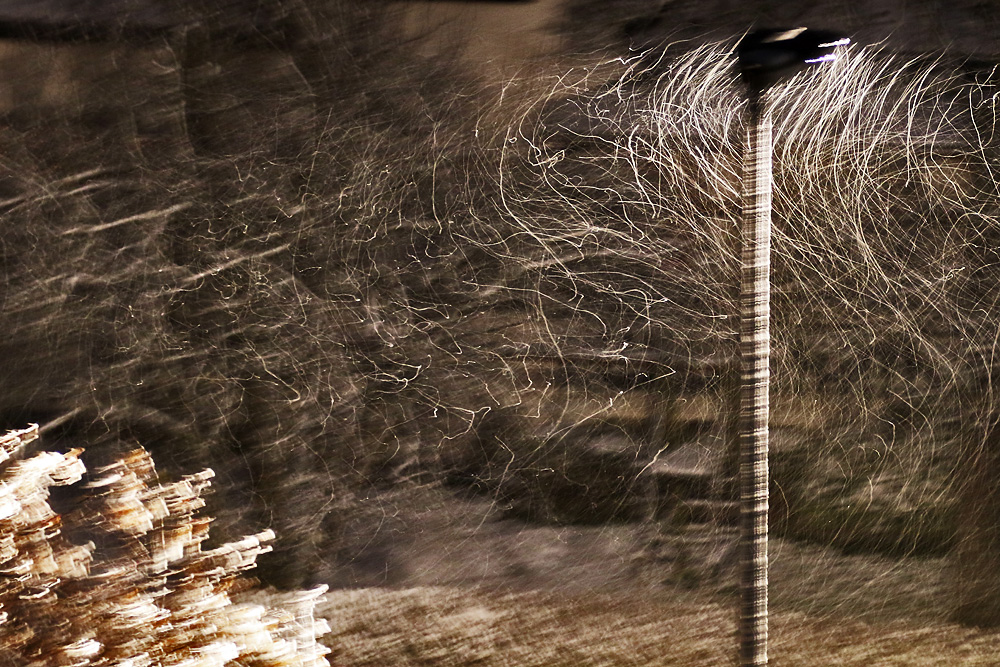 verwischtes Schneetreiben an der Straßenbeleuchtung