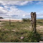 Verwitterter Pfosten am Strand