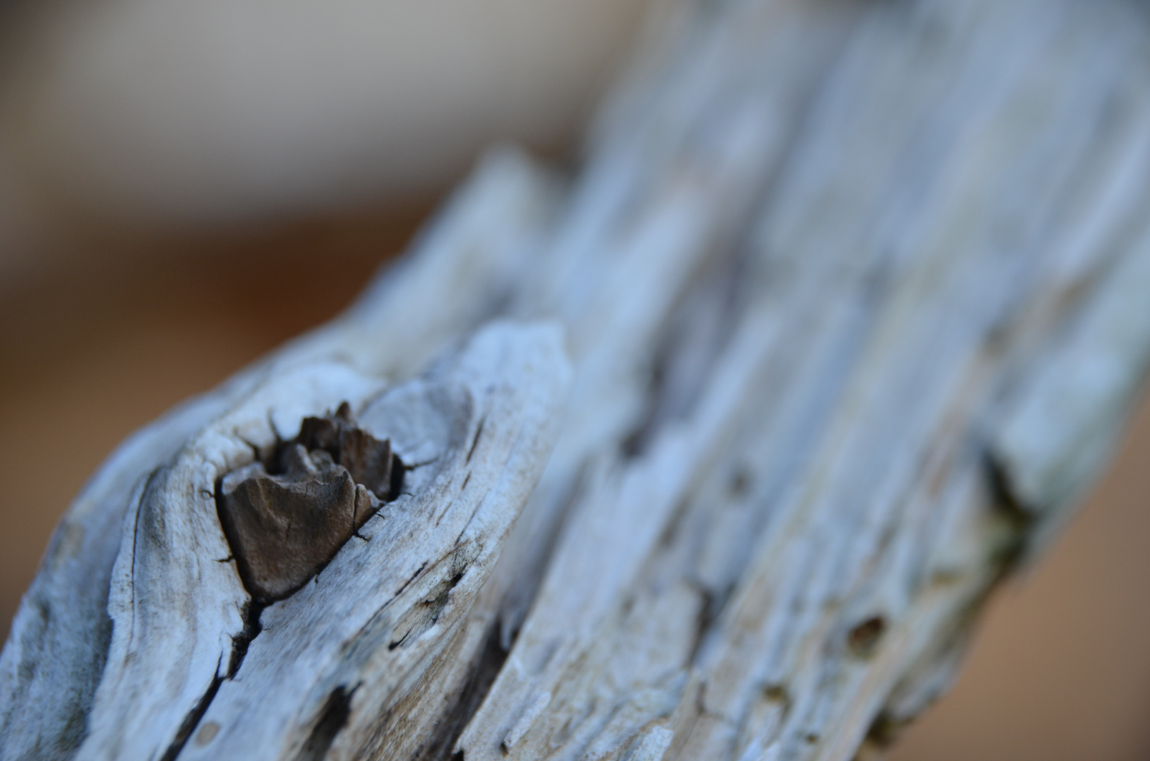 verwittertes, ausgewaschenes Holz