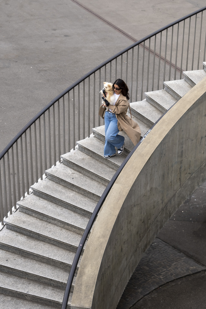 verwöhnter Hund