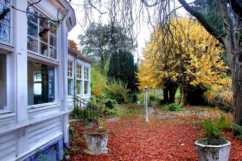 Verwunschen Foto & Bild landschaft, garten & parklandschaften
