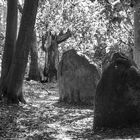 verwunschen und vergessen - megalithische Gräber auf Rügen (2)