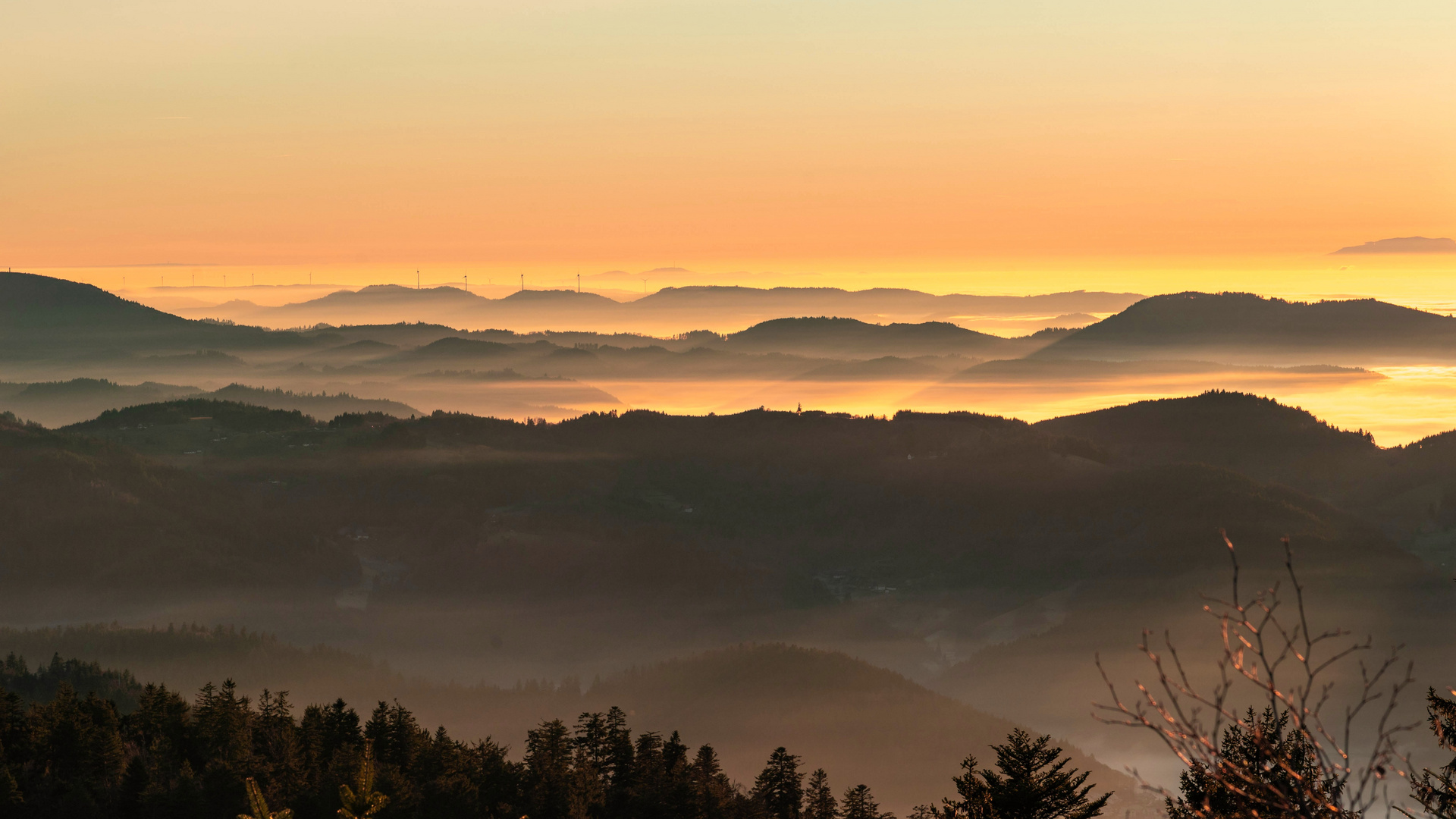 Verwunschene Abendstimmung