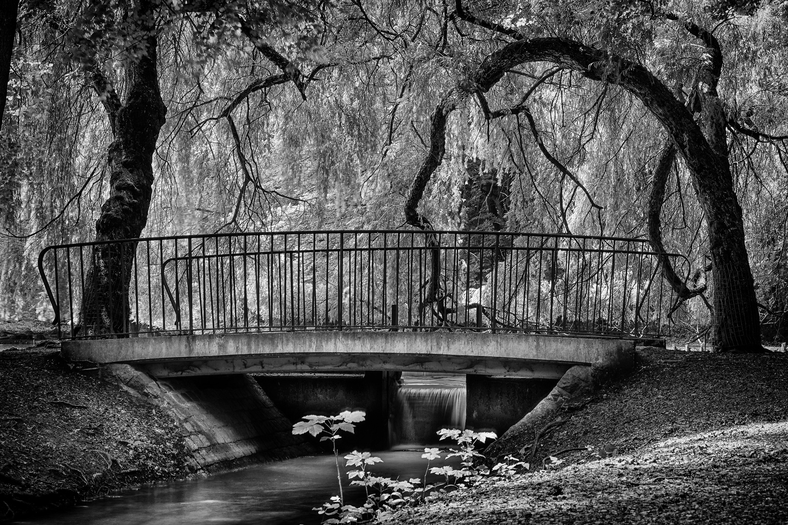 Verwunschene Brücke