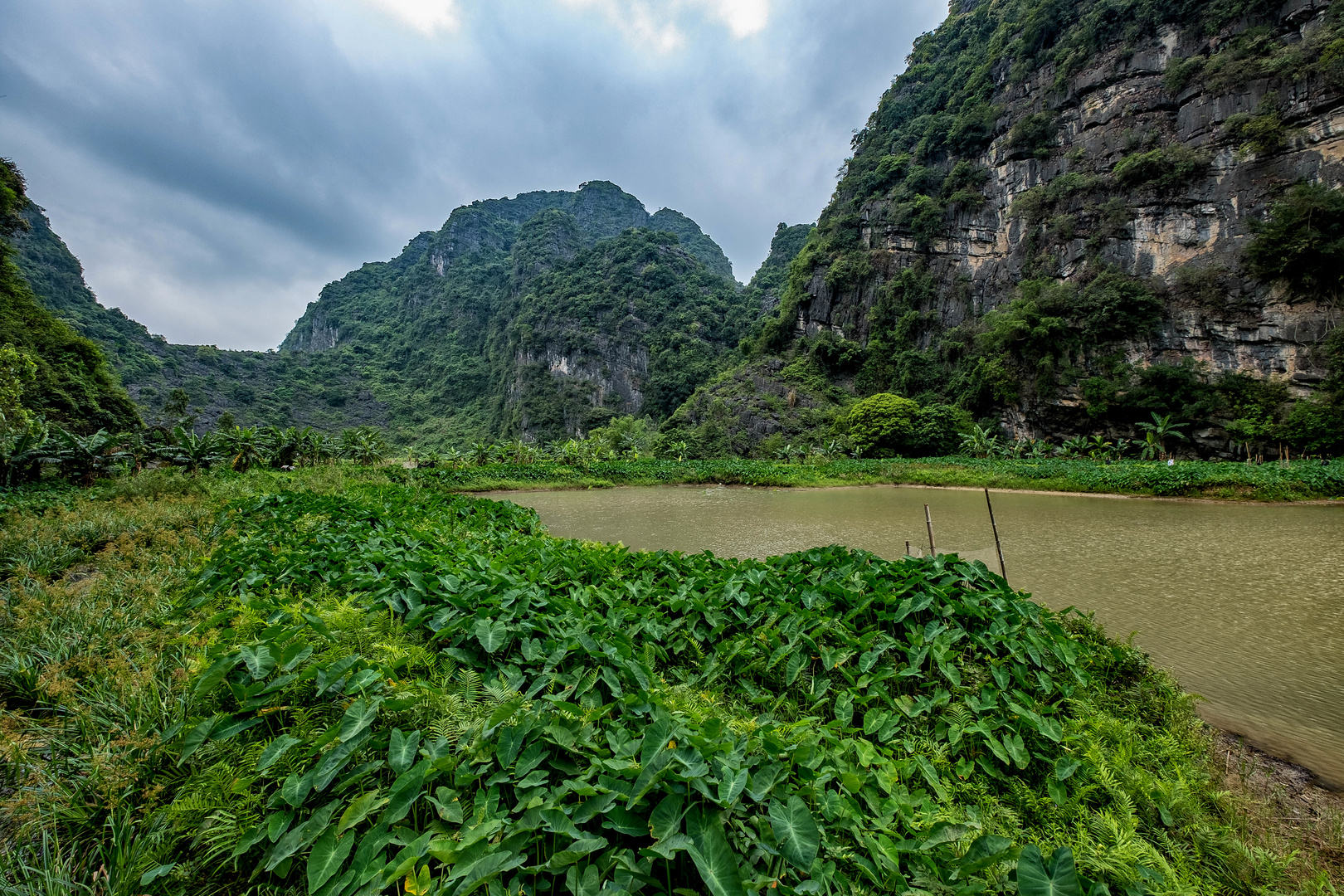 Verwunschene Landschaft