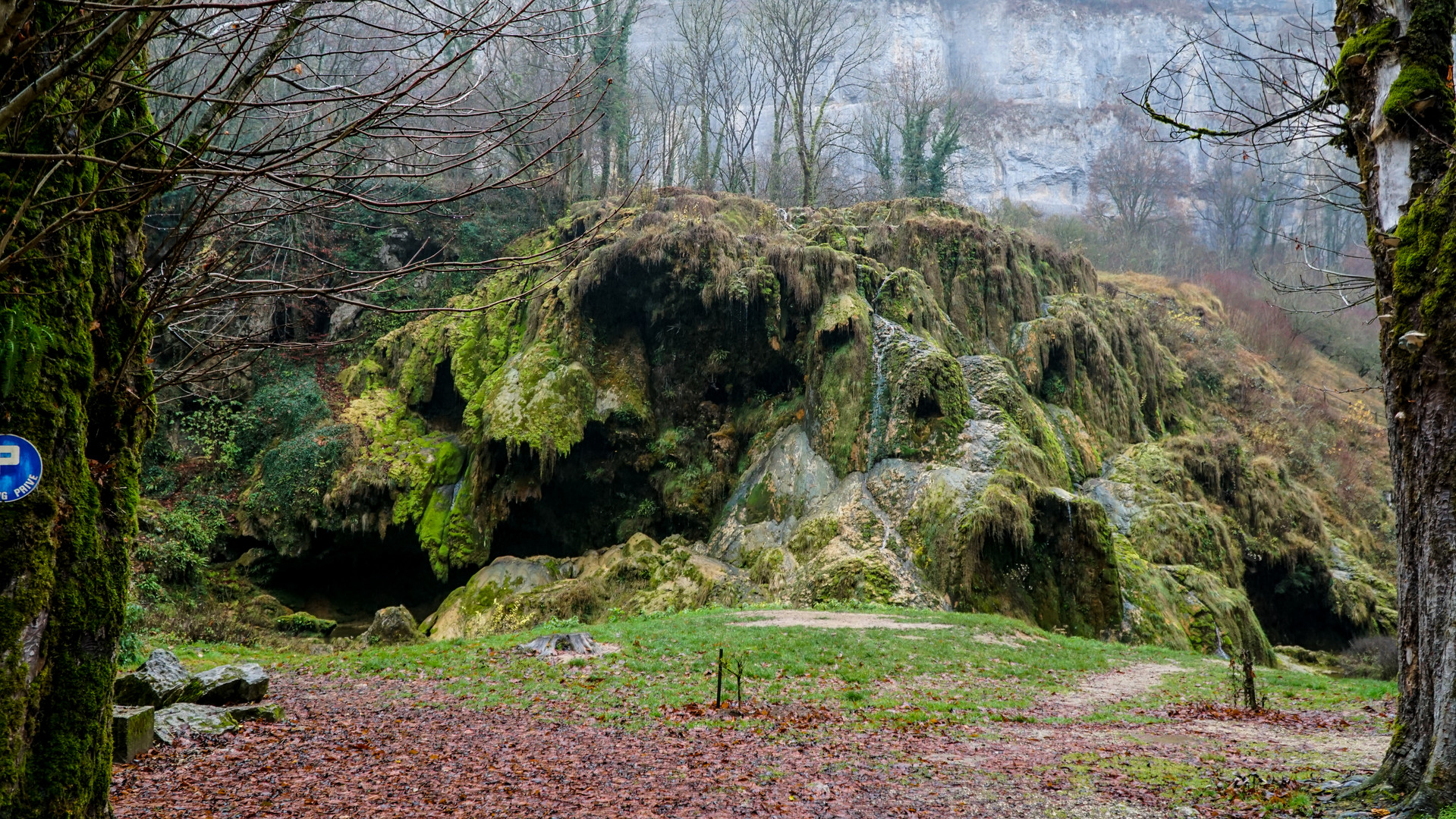 Verwunschene Landschaft