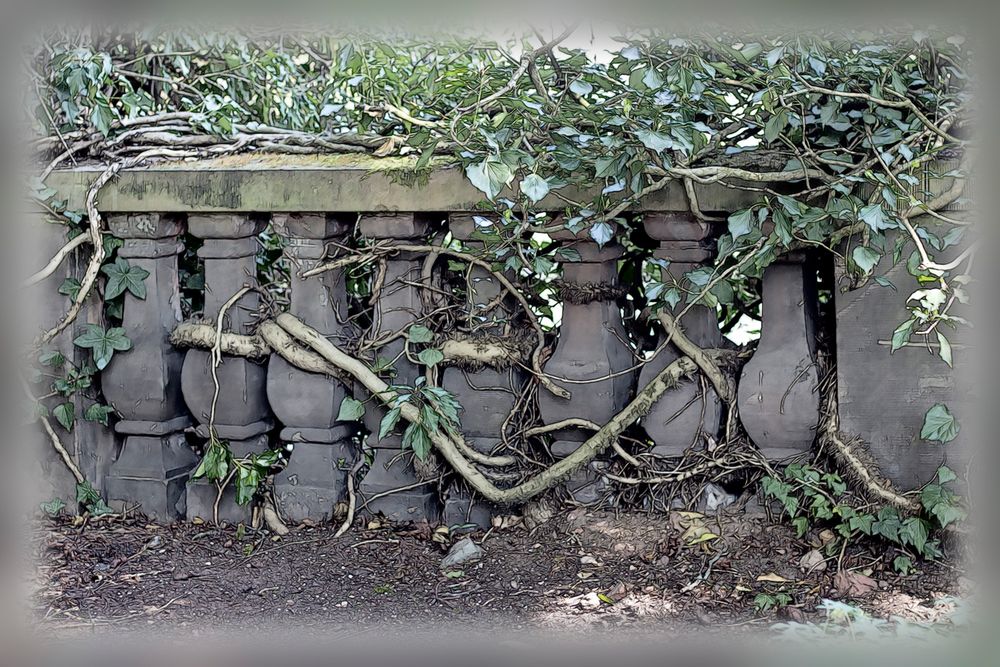 Verwunschene Mauer im Saarbrücker Schlossgarten