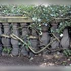 Verwunschene Mauer im Saarbrücker Schlossgarten