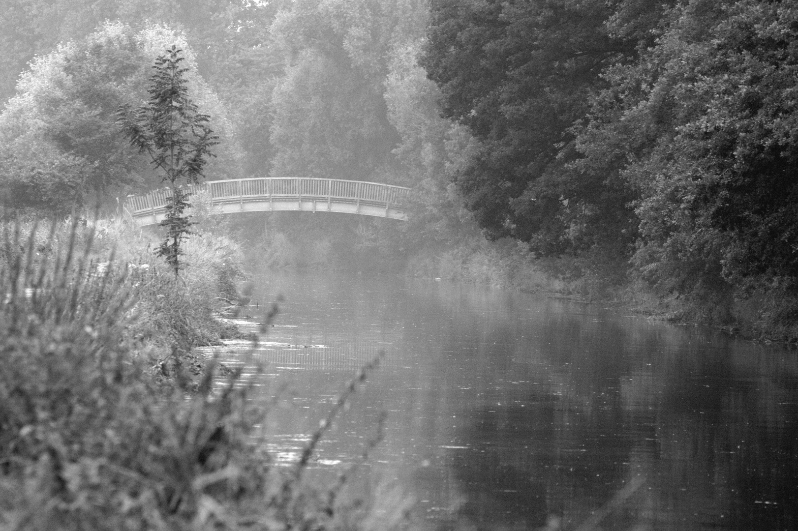 verwunschene Niersbrücke