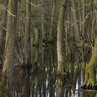 Verwunschene Orte am Niederrhein