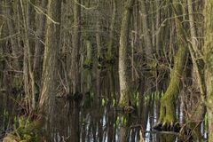 Verwunschene Orte am Niederrhein