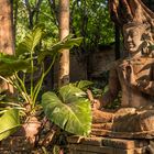 verwunschene stimmung im terracotta garden 