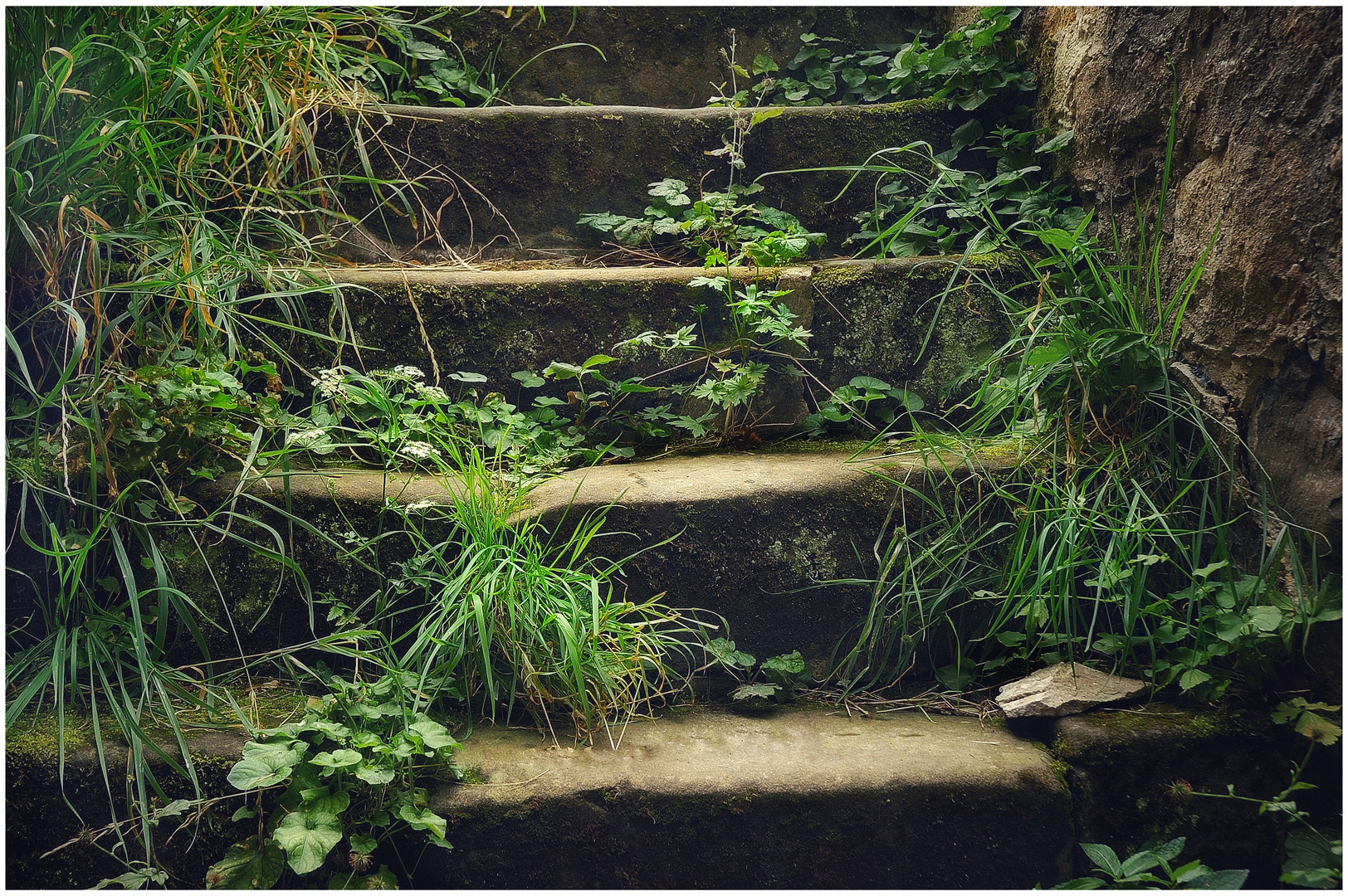 Verwunschene Treppe