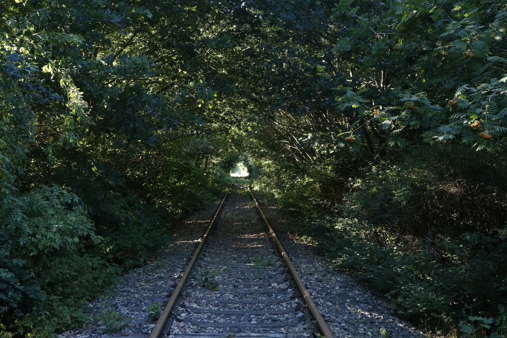 Bahndamm Bahndamm
