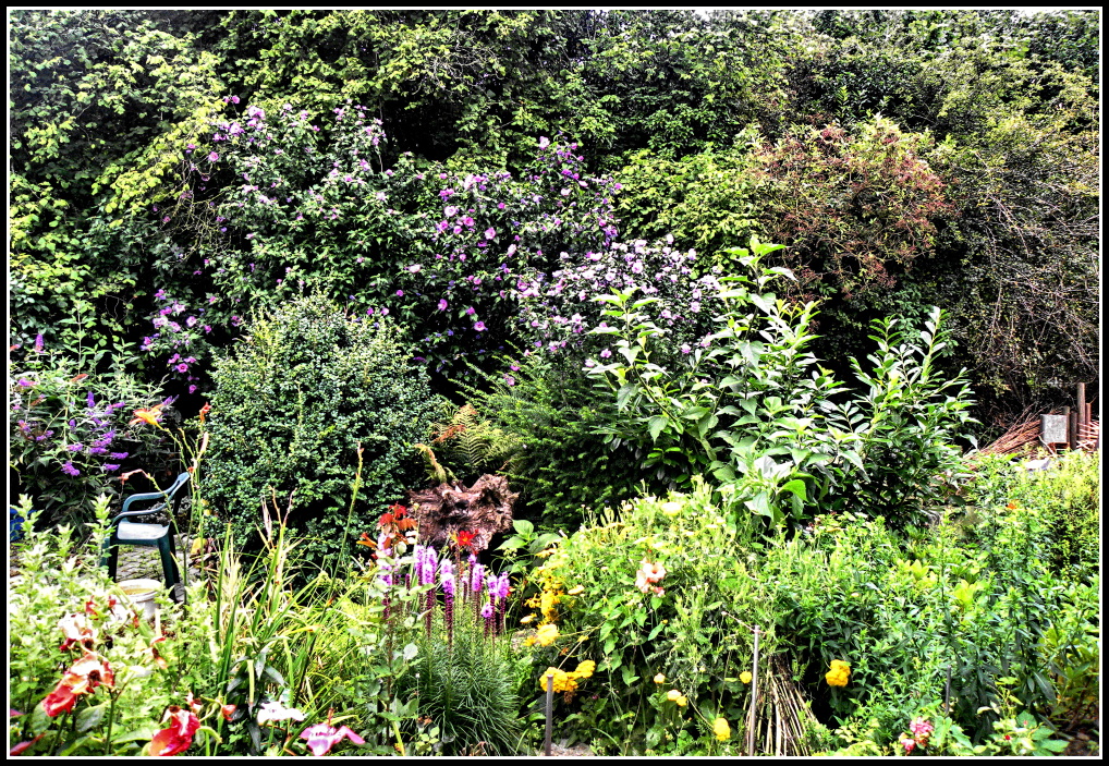 verwunschener Garten Foto & Bild landschaft, garten