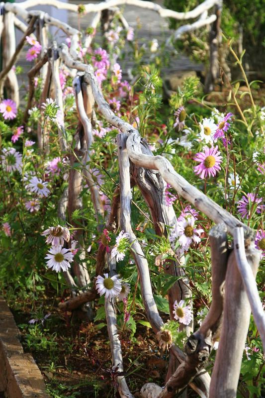 Verwunschener Garten