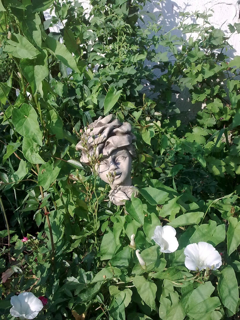 Verwunschener Garten Foto Bild Pflanzen Pilze Flechten