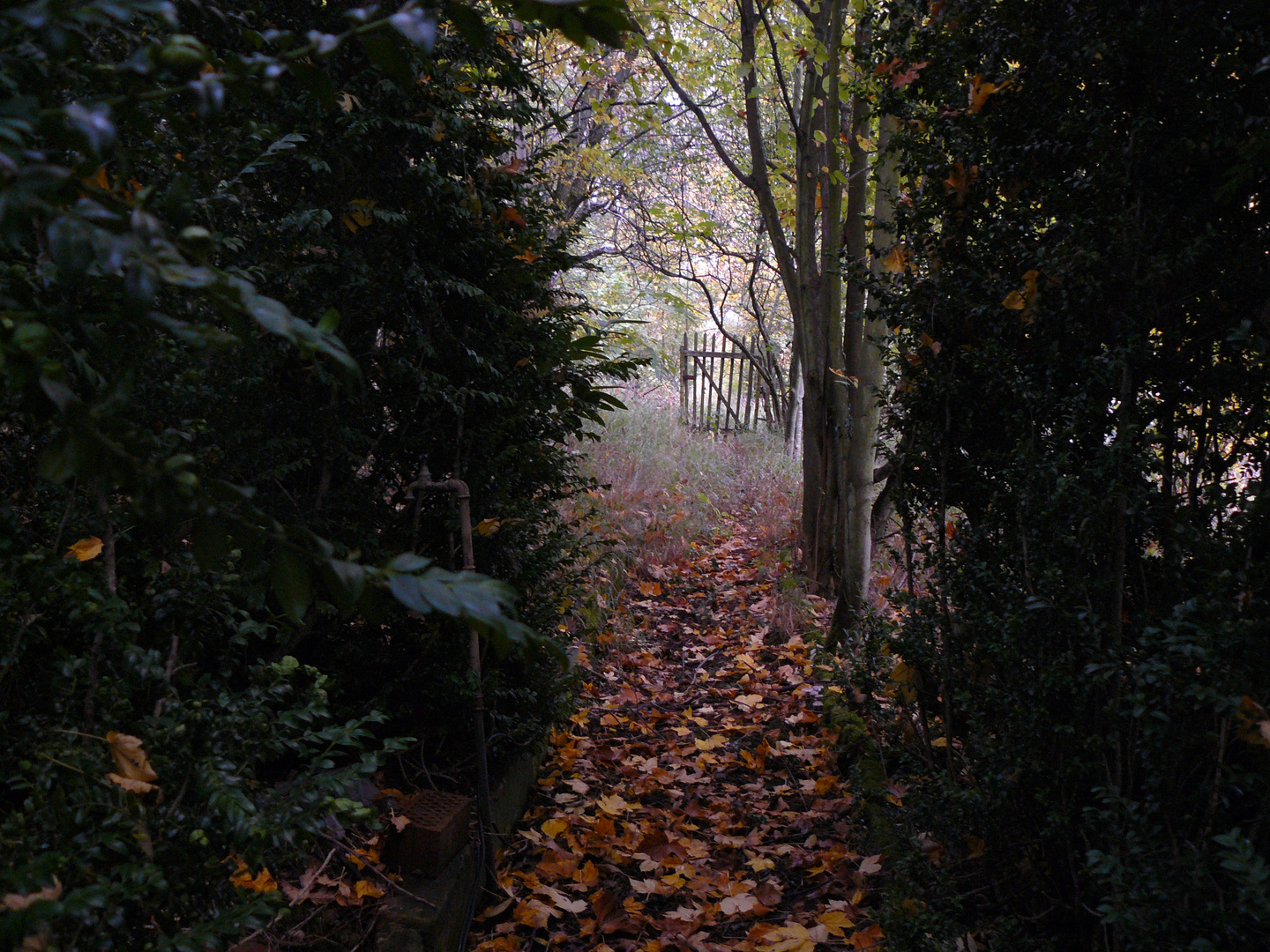 Verwunschener Garten im Herbst