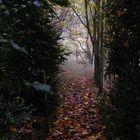 Verwunschener Garten im Herbst